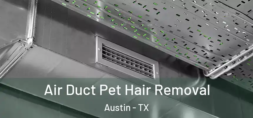 Air Duct Pet Hair Removal Austin - TX
