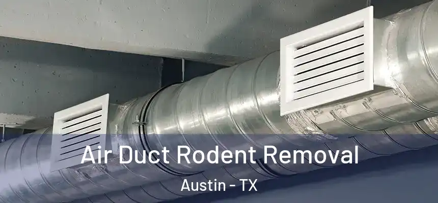 Air Duct Rodent Removal Austin - TX