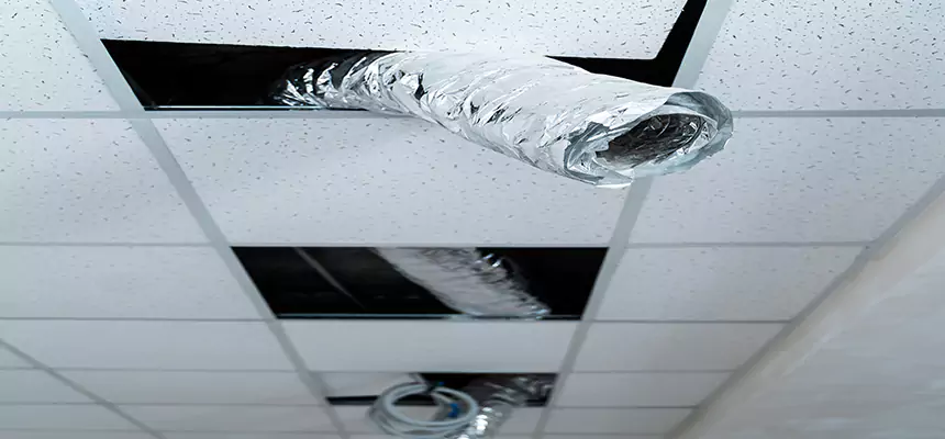 Our Air Duct Pet Hair Removal Services in Austin, TX