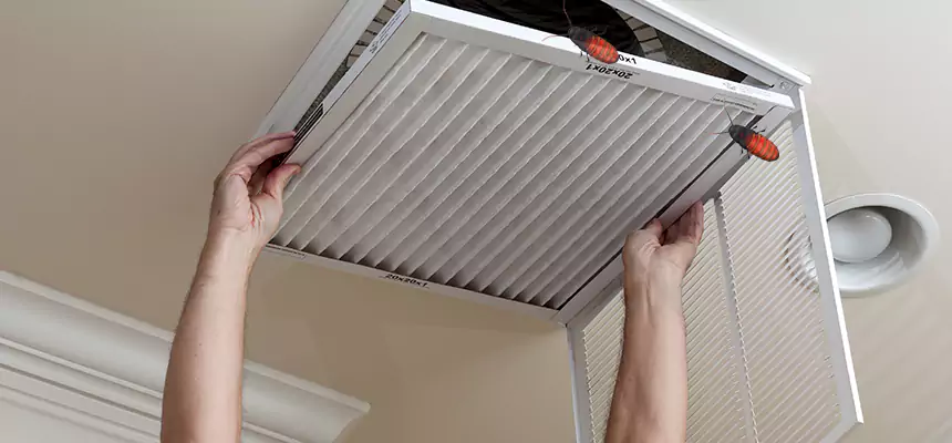 Our Insect Removal from Air Ducts Services in Austin, TX