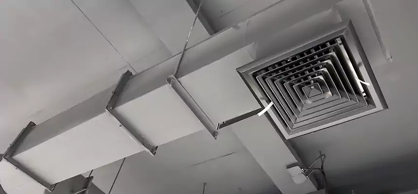 Our Pest Removal From Ducts Services in Austin, TX