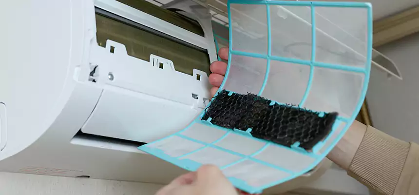 Gentle Ductwork Odor-Control Pet Dander Duct Cleaning in Austin, TX