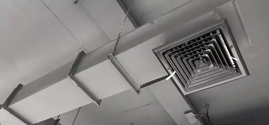 Our Rodent Droppings In Vents Services in Austin, TX