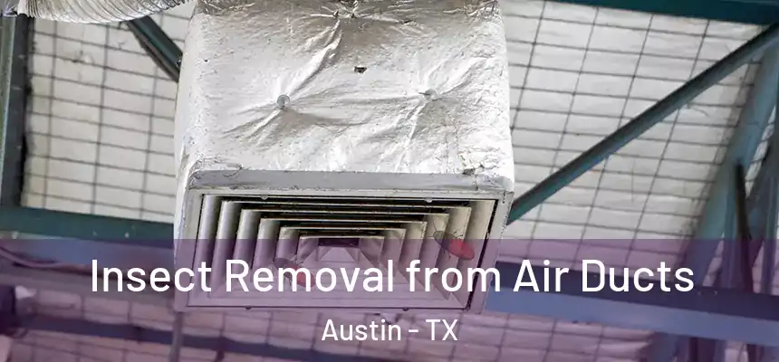 Insect Removal from Air Ducts Austin - TX