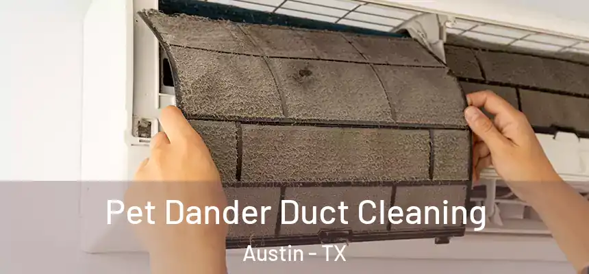 Pet Dander Duct Cleaning Austin - TX