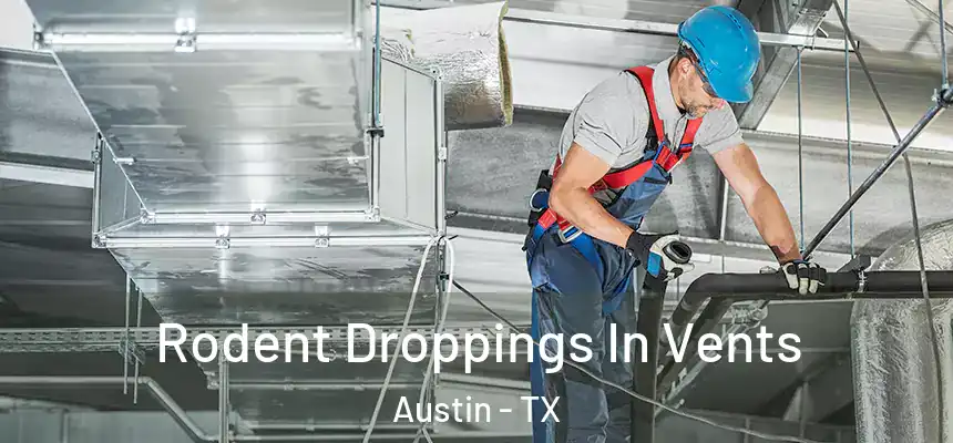Rodent Droppings In Vents Austin - TX
