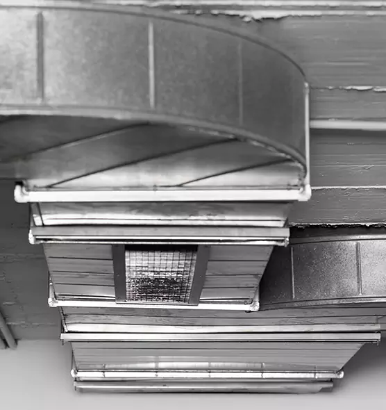 Professional Air Duct Pest Removal in Austin, TX