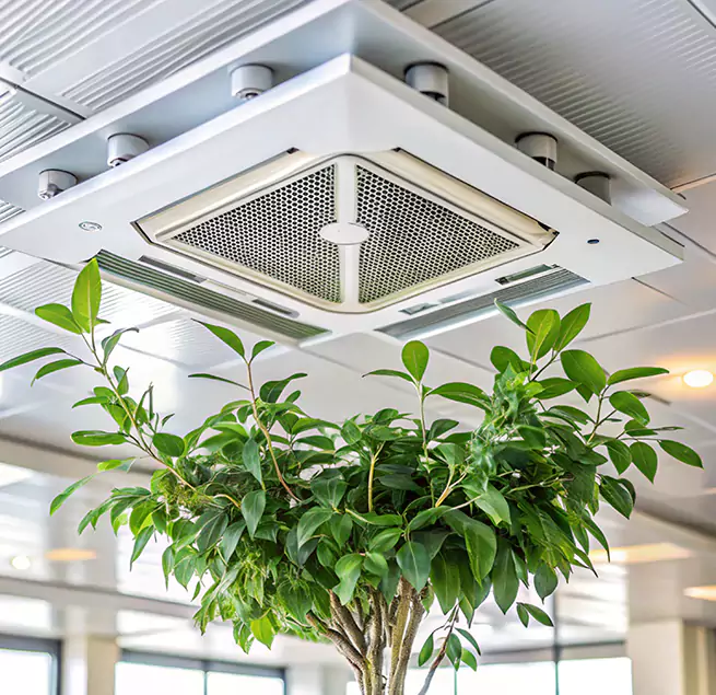 Why Homeowners & Businesses Trust Us in Austin, TX?