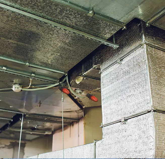 Why Homeowners & Businesses Trust Us Austin, TX?