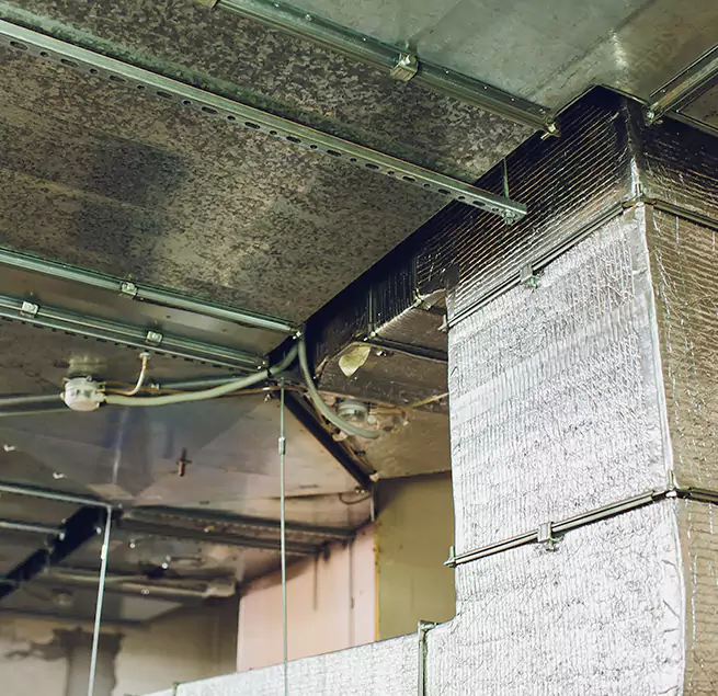 Why Homeowners & Businesses Trust Us in Austin, TX?